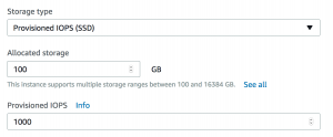 Screenshot showing the Provisioned IOPS field under Storage Type on the AWS console